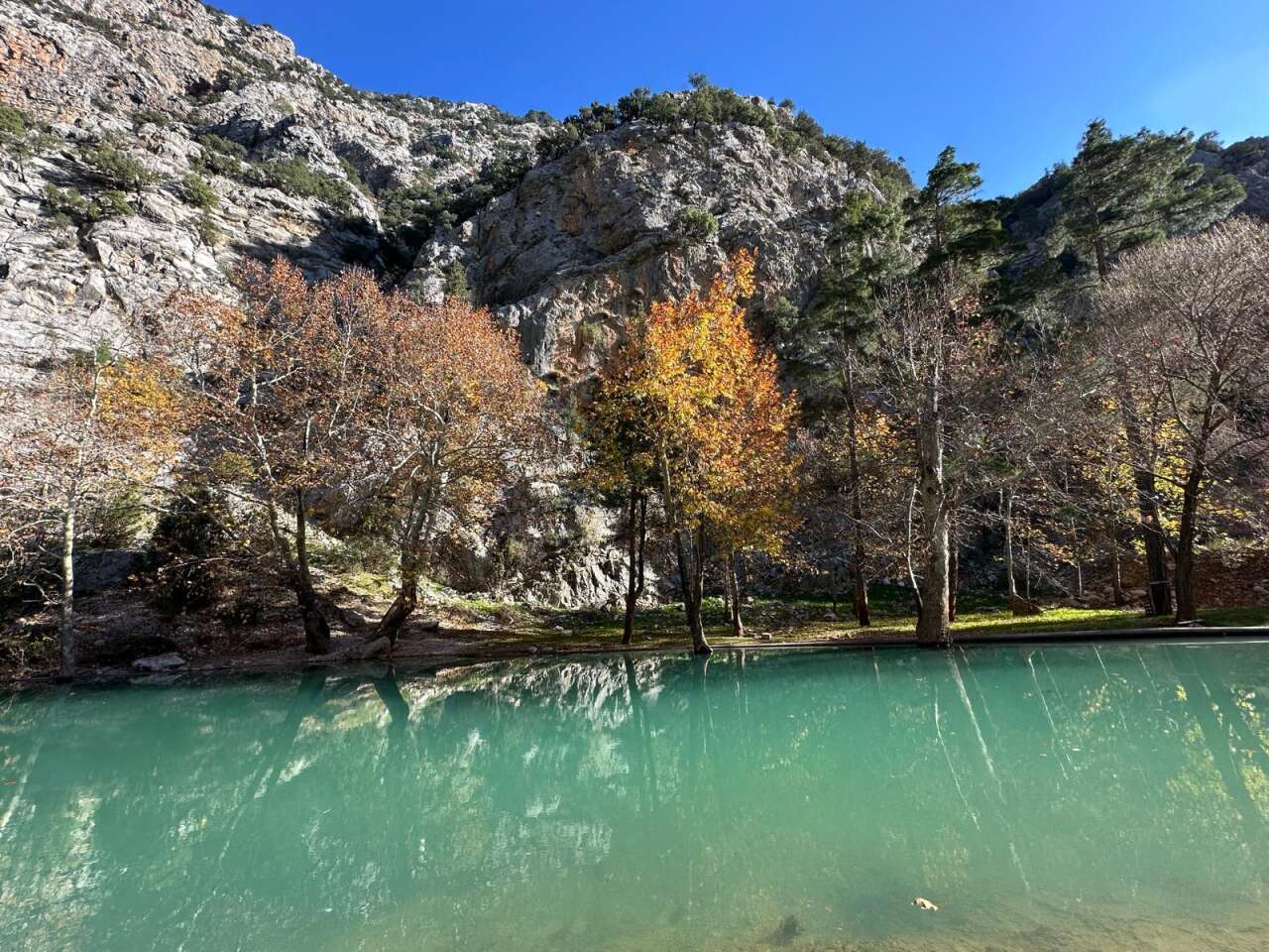 Çöle dönen doğa harikası yeniden coştu 12